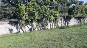 Imagem 4 - Terreno Condomínio em Joapiranga, Valinhos - SP