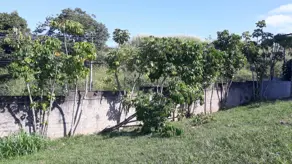 Imagem 5 - Terreno Condomínio em Joapiranga, Valinhos - SP