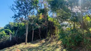 Imagem 6 - Terreno em Capela, Vinhedo - SP