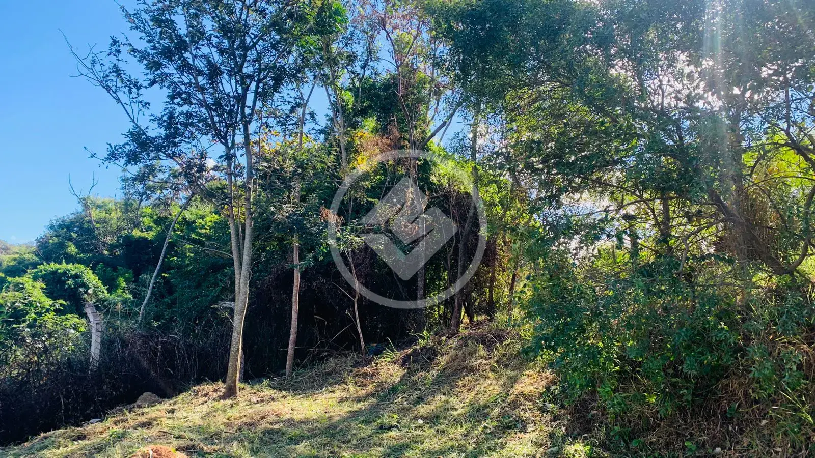 Imagem 6 - Terreno em Capela, Vinhedo - SP