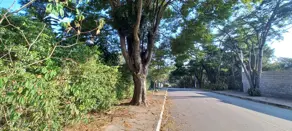 Imagem 3 - Casa em Pinheirinho, Vinhedo - SP