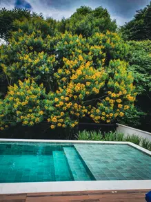 Imagem 3 - Casa Condomínio em Bosque, Vinhedo - SP