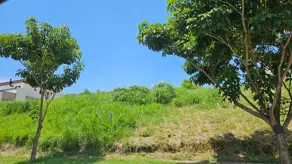 Imagem 3 - Terreno em Vila Joao XXIII, Vinhedo - SP