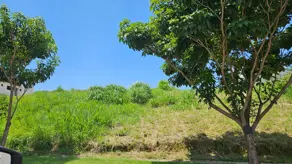 Imagem 4 - Terreno em Vila Joao XXIII, Vinhedo - SP