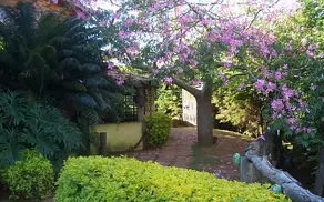 Imagem 5 - Chácara em Bosque, Vinhedo - SP