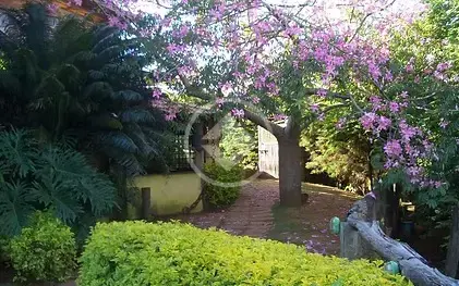 Imagem 5 - Chácara em Bosque, Vinhedo - SP
