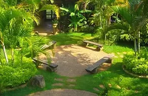 Imagem 2 - Chácara em Bosque, Vinhedo - SP
