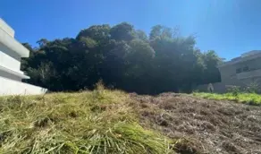 Imagem 3 - Terreno em Pinheirinho, Vinhedo - SP