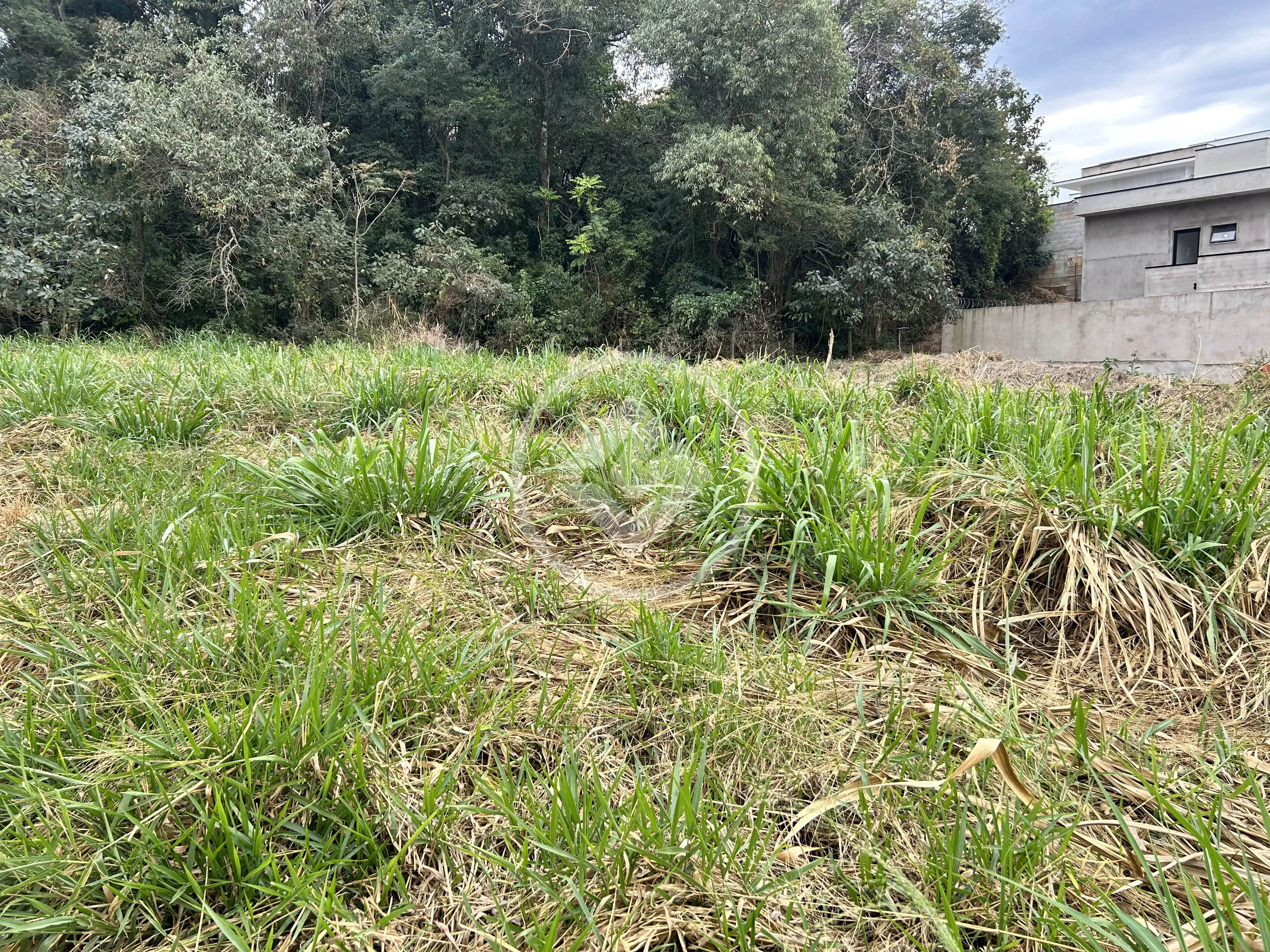 Imagem 1 - Terreno em Pinheirinho, Vinhedo - SP