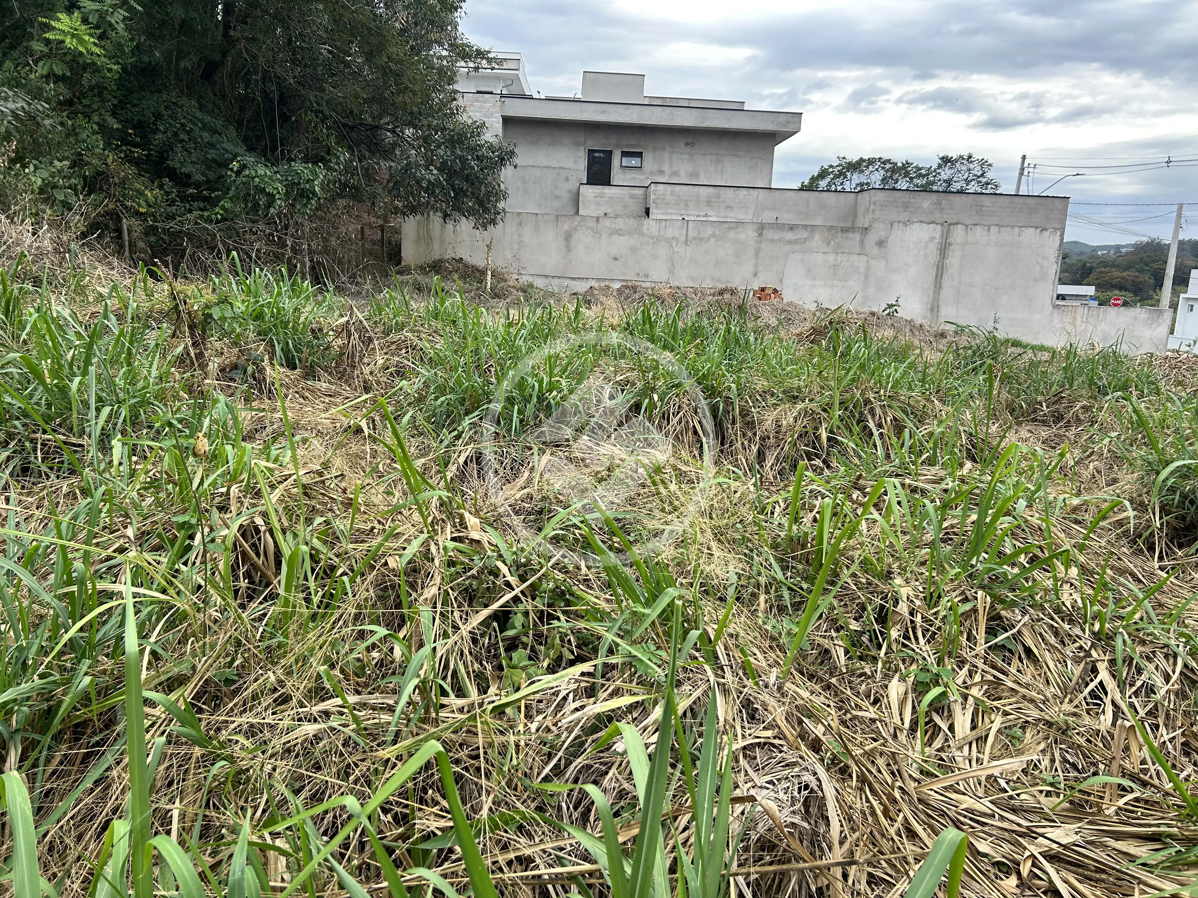 Imagem 6 - Terreno em Pinheirinho, Vinhedo - SP