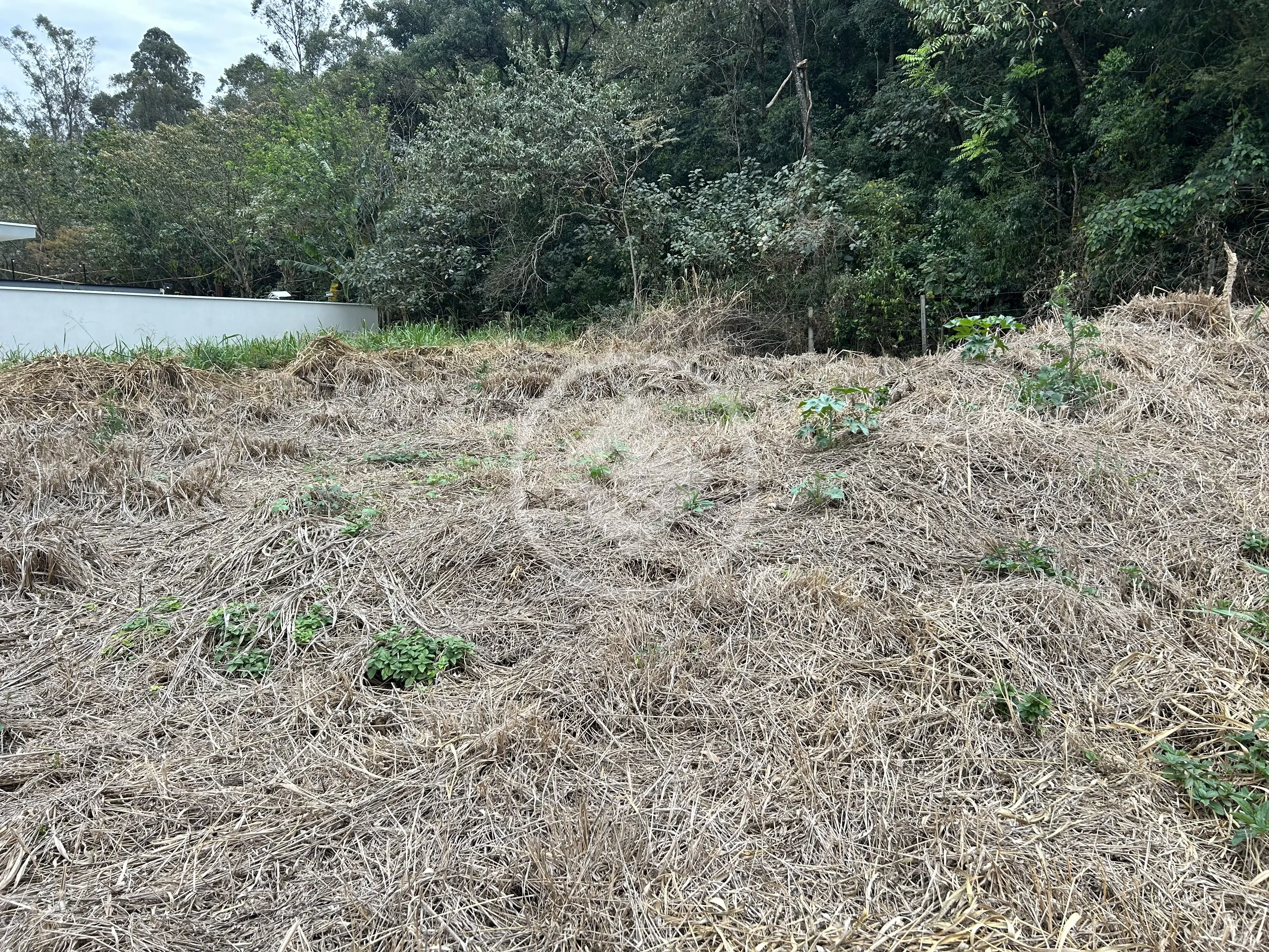 Imagem 1 - Terreno em Pinheirinho, Vinhedo - SP