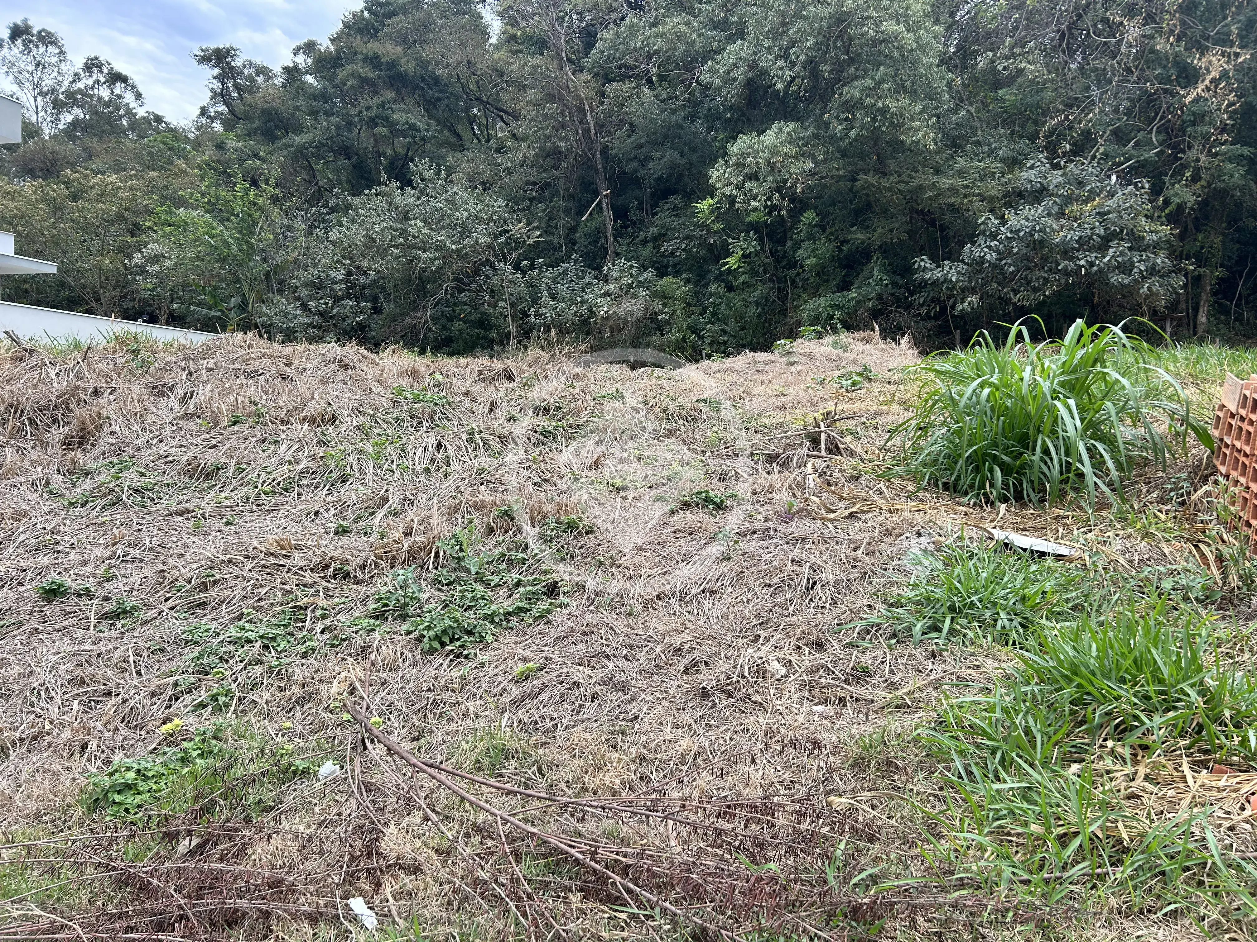 Imagem 4 - Terreno em Pinheirinho, Vinhedo - SP