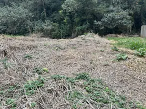 Imagem 5 - Terreno em Pinheirinho, Vinhedo - SP