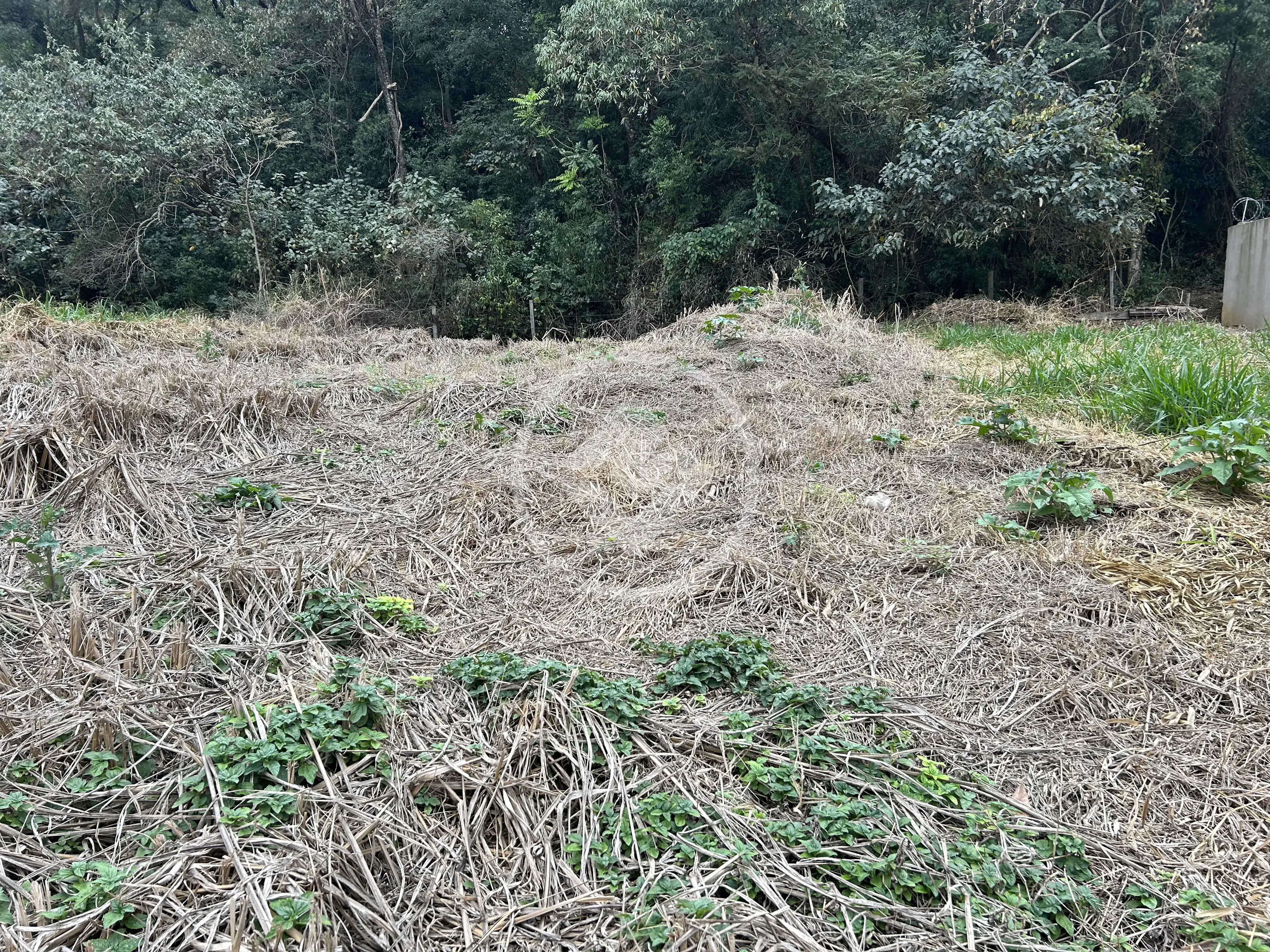 Imagem 5 - Terreno em Pinheirinho, Vinhedo - SP
