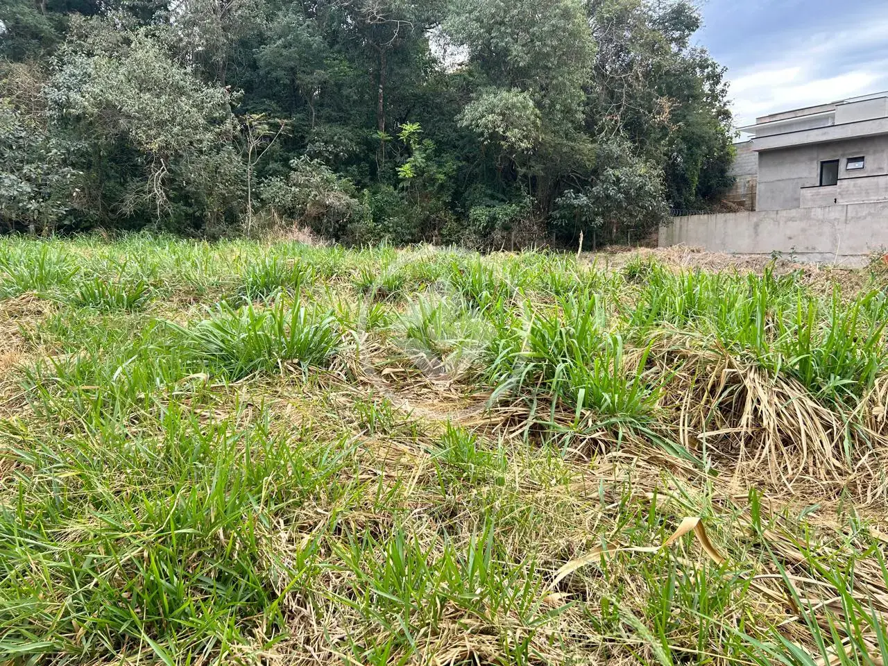Imagem 6 - Terreno em Pinheirinho, Vinhedo - SP