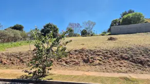 Imagem 4 - Terreno em Bosque, Vinhedo - SP