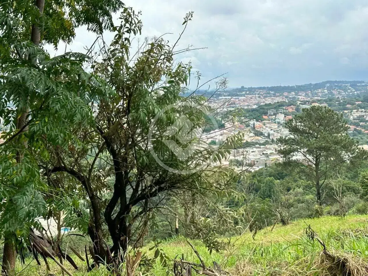 Imagem 5 - Terreno em Bosque, Vinhedo - SP