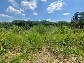 Imagem 4 - Terreno em Pinheirinho, Vinhedo - SP