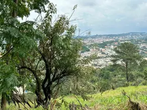 Imagem 5 - Terreno em Pinheirinho, Vinhedo - SP