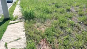 Terreno Vista Alegre, Vinhedo - SP — foto 1