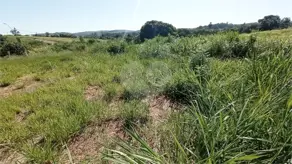 Imagem 3 - Terreno em Vista Alegre, Vinhedo - SP