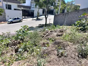 Terreno Bosque, Vinhedo - SP — foto 1