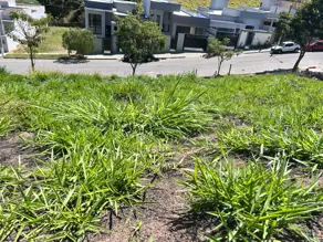 Terreno Bosque, Vinhedo - SP — foto 2