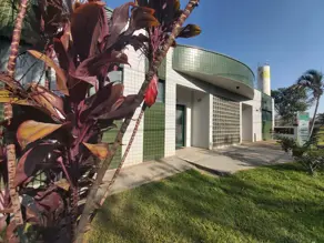 Imagem 5 - Galpão em Macuco, Valinhos - SP