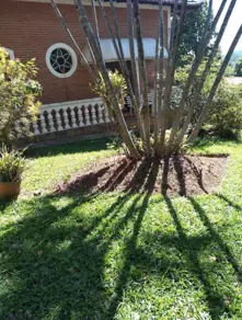 Imagem 4 - Casa em Centro, Vinhedo - SP