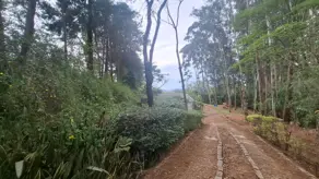 Imagem 3 - Sítio em Santa Cândida, Vinhedo - SP
