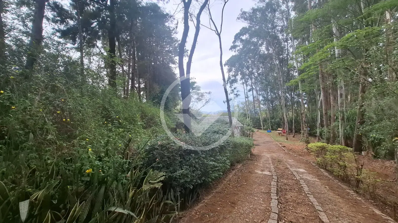 Imagem 3 - Sítio em Santa Cândida, Vinhedo - SP