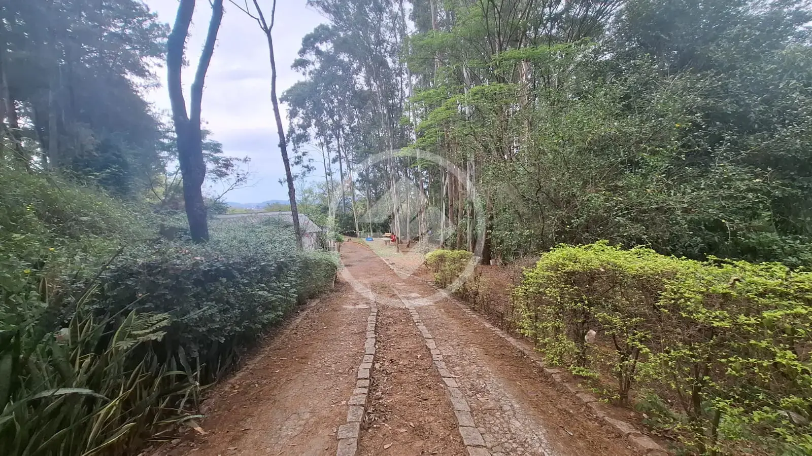 Imagem 1 - Sítio em Santa Cândida, Vinhedo - SP