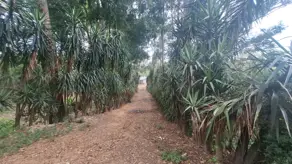 Imagem 5 - Sítio em Santa Cândida, Vinhedo - SP