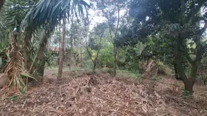 Imagem 4 - Sítio em Santa Cândida, Vinhedo - SP