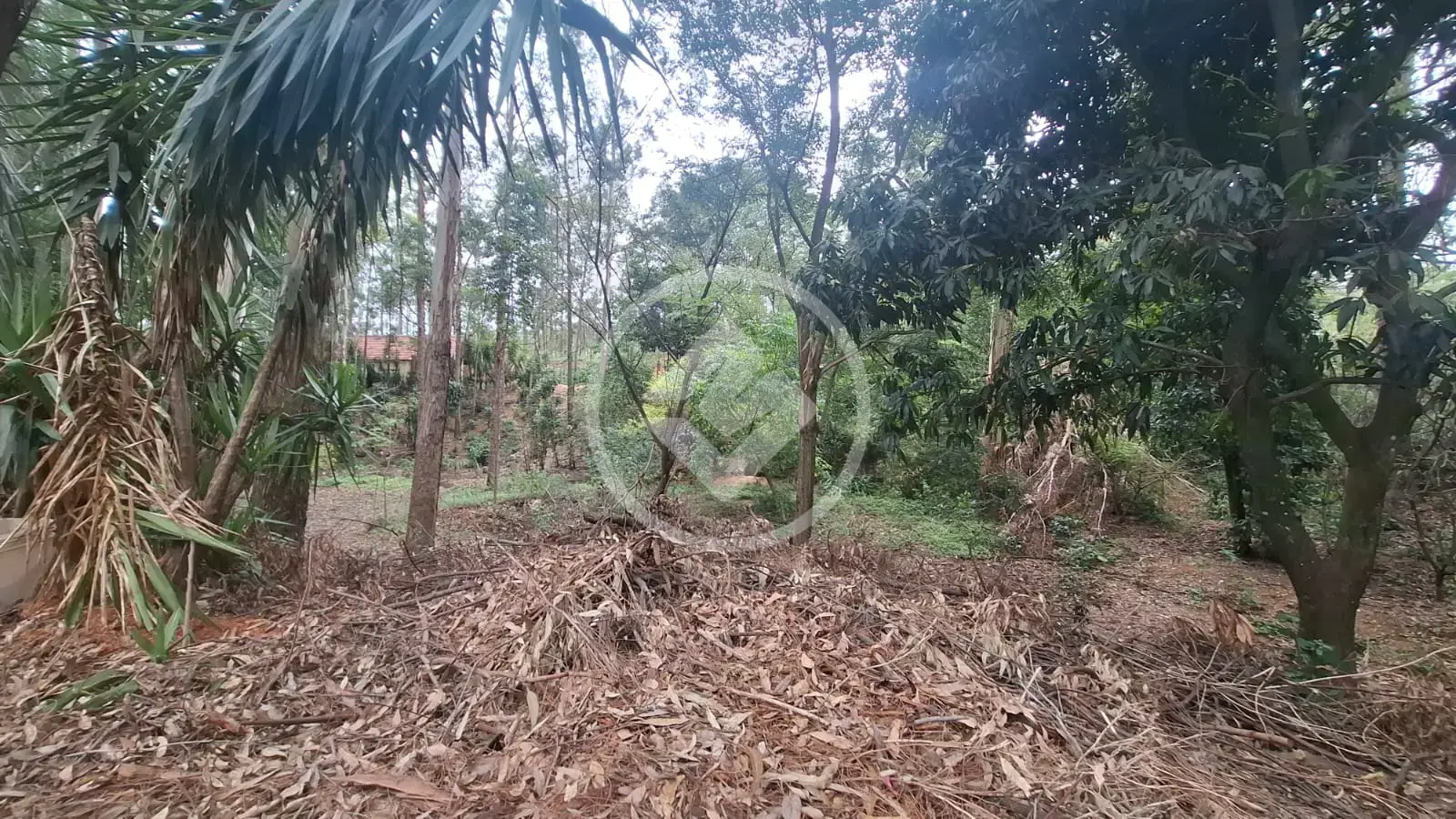 Imagem 4 - Sítio em Santa Cândida, Vinhedo - SP