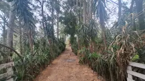 Imagem 6 - Sítio em Santa Cândida, Vinhedo - SP