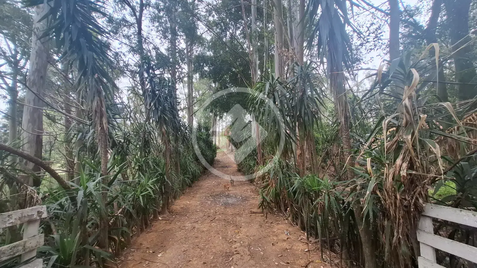 Imagem 6 - Sítio em Santa Cândida, Vinhedo - SP