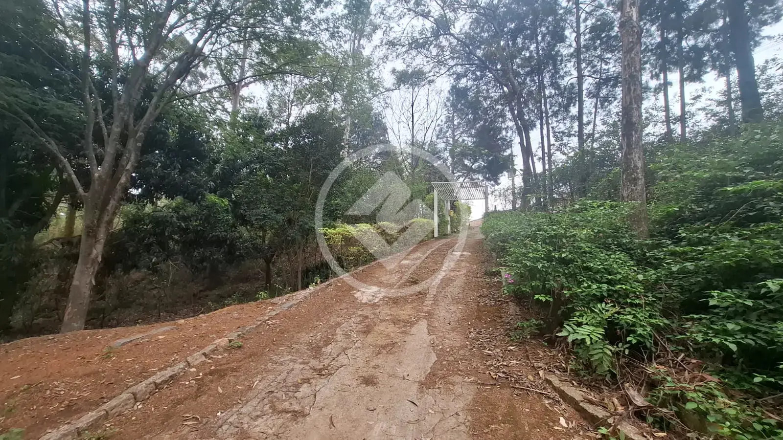 Imagem 2 - Sítio em Santa Cândida, Vinhedo - SP