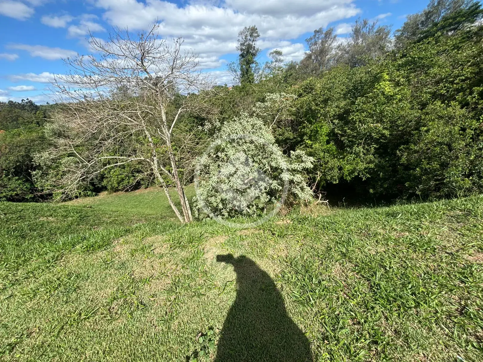 Imagem 4 - Terreno Condomínio em Bosque, Vinhedo - SP