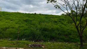 Terreno Bosque, Vinhedo - SP — foto 1