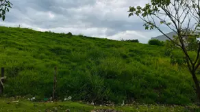 Terreno Bosque, Vinhedo - SP — foto 2
