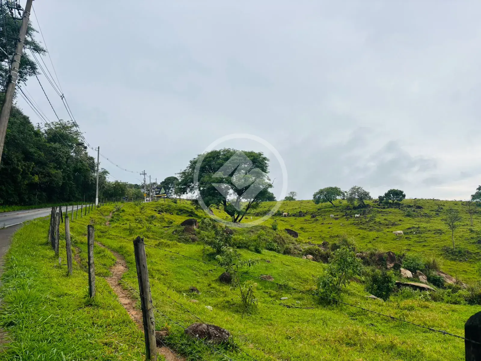 Imagem 4 - Terreno Comercial em Monte Alegre, Vinhedo - SP