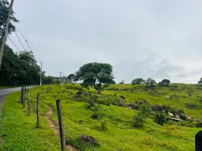 Imagem 2 - Terreno Comercial em Monte Alegre, Vinhedo - SP