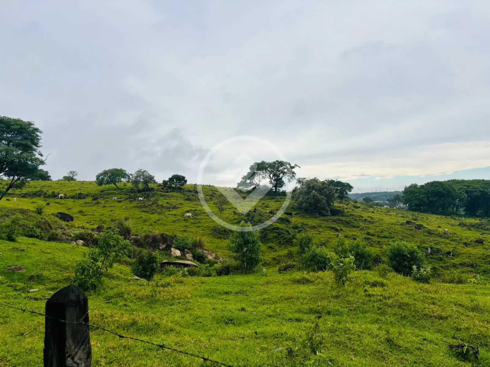 Imagem 3 - Terreno Comercial em Monte Alegre, Vinhedo - SP