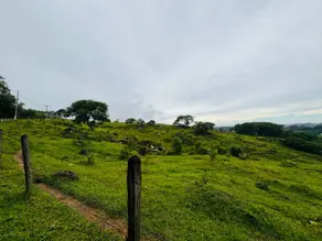 Imagem 4 - Terreno Comercial em Monte Alegre, Vinhedo - SP