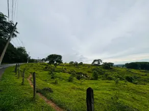 Terreno Comercial Monte Alegre, Vinhedo - SP — foto 2