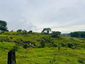 Imagem 3 - Terreno Comercial em Monte Alegre, Vinhedo - SP