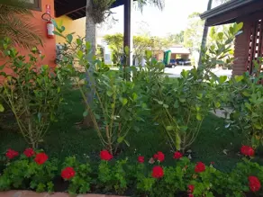 Imagem 5 - Terreno Condomínio em Pinheirinho, Vinhedo - SP