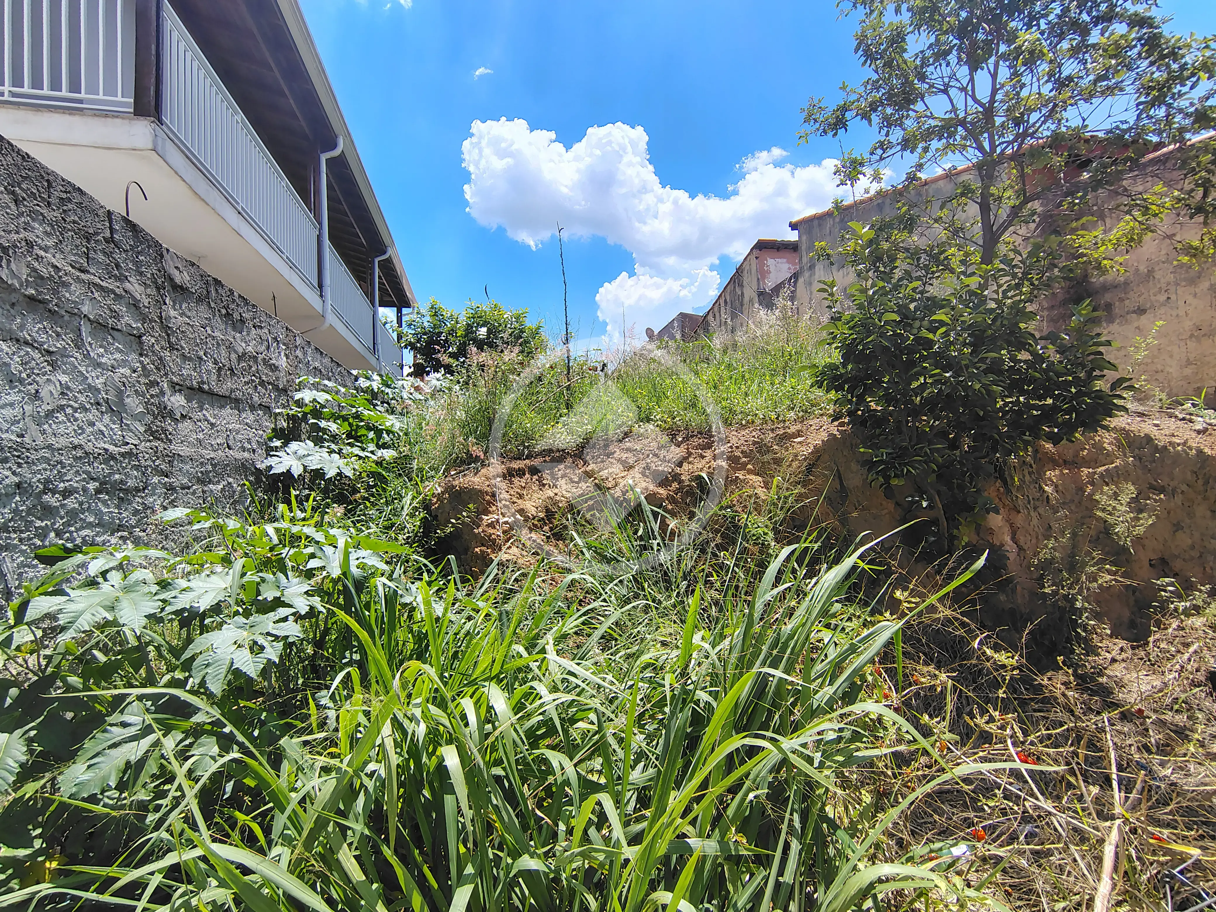 Imagem 3 - Terreno em Capela, Vinhedo - SP