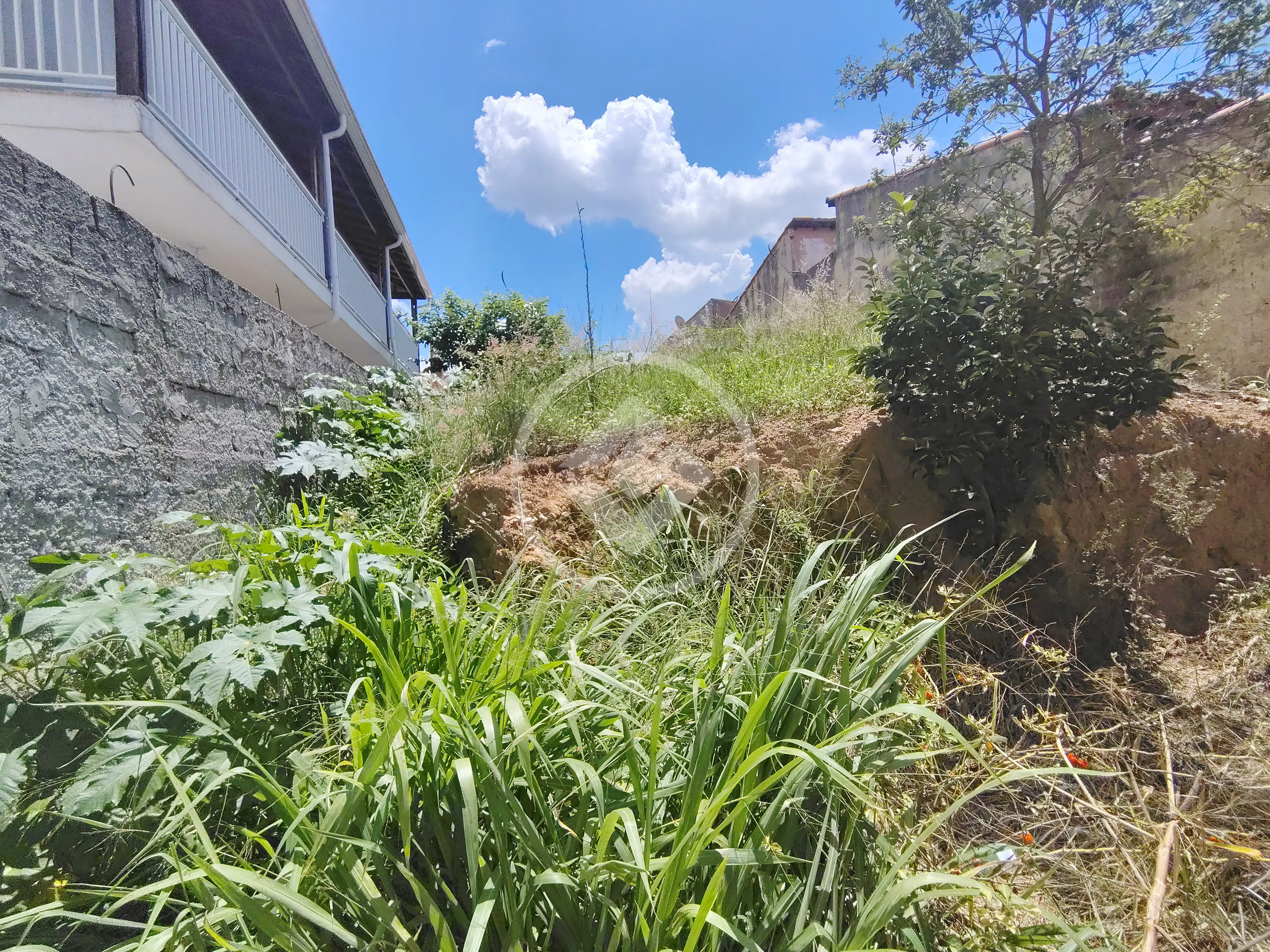 Imagem 1 - Terreno em Capela, Vinhedo - SP